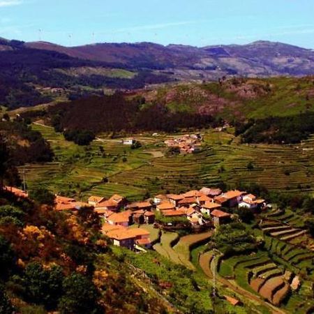 希斯泰洛Casa Da Ferreirinha别墅 外观 照片